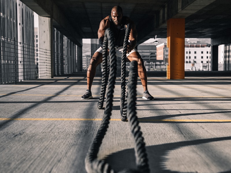 Professional gym training environment